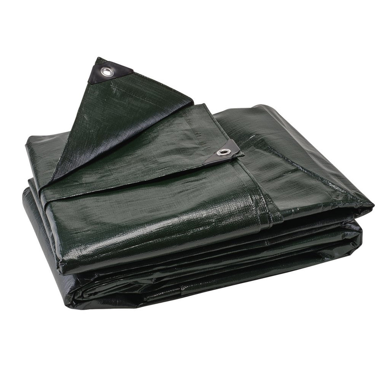 (D) Heavy Duty Polyethylene Tarpaulin, 4 x 6m, Green