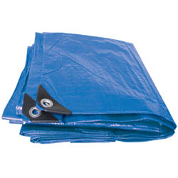 (D) Heavy Duty Polyethylene Tarpaulin (4m x 6m)