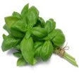 Basil 50g (WMH)