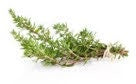 Thyme 50g (WMH)